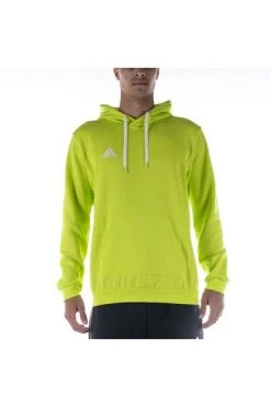 Adidas Hoodies & Sweatvesten Hoodie Green