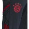 Adidas Trainingspakken FC Bayern München Hooded Trainingspak Senior 2022-2023 White -Adidas Verkoopwinkel 67fd493ea41aa678aee20f3f978b9af0