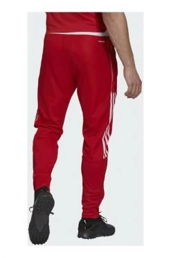 Adidas Trainingspakken Ajax Trainingspak Red -Adidas Verkoopwinkel 7457fe6b15e2e517e91104681c755442