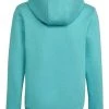 Adidas Sweaters Hoodies Blue -Adidas Verkoopwinkel 7bfdabcae0b6d8f27fbc97cfa58a1ab2