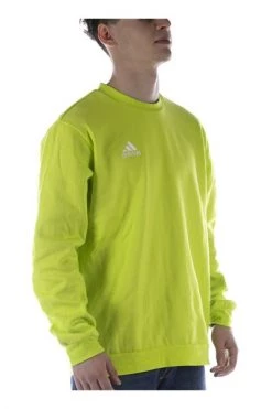 Adidas Hoodies & Sweatvesten Sweatshirt Green -Adidas Verkoopwinkel 7c7c93a55bce59137c7ee893cc46748c