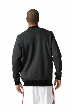 Adidas Hoodies & Sweatvesten BLUZA NBA ALL STAR AC2560 Gray