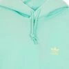 Adidas Hoodies & Sweatvesten ESSENTIAL HOODY Green