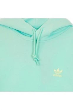 Adidas Hoodies & Sweatvesten ESSENTIAL HOODY Green