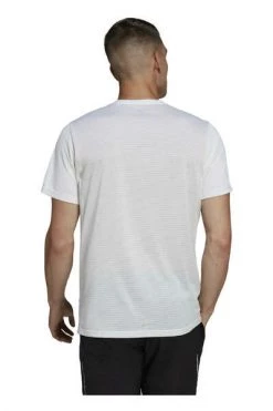 Adidas Sportshirts Training T-Shirts White