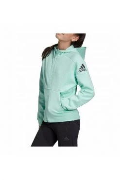Adidas Sweaters DV0296 Sweatshirt Green