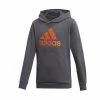 Adidas Sweaters Sweatshirts Gray -Adidas Verkoopwinkel 9b6448663a0abdc9f965a8639f32bda7