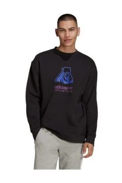 Adidas Hoodies & Sweatvesten PLAKE SWEEP Black