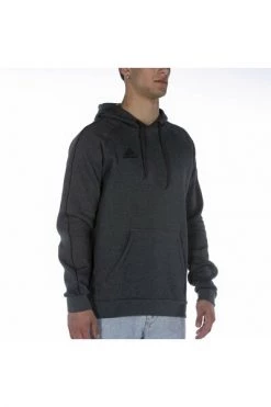 Adidas Hoodies & Sweatvesten HOODIES Gray