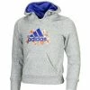 Adidas Sweaters HOODIE M67664 128 Gray