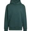 Adidas Hoodies & Sweatvesten Hoodies Green